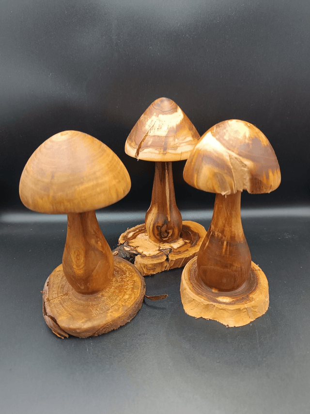 Champignons 