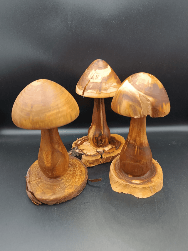 Champignons 